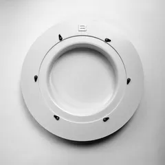 Flow ring B, Model 4.1