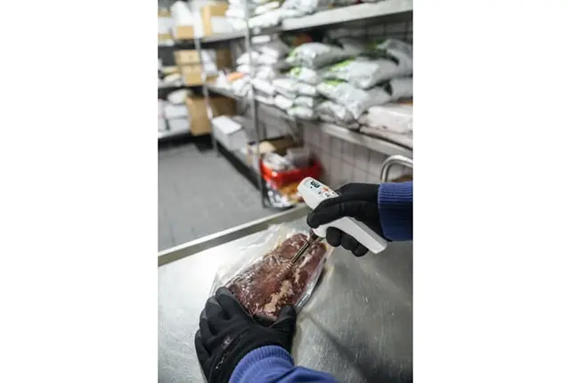 TESTO 105 SETT MED FØLER FOR FROSSEN VARE 