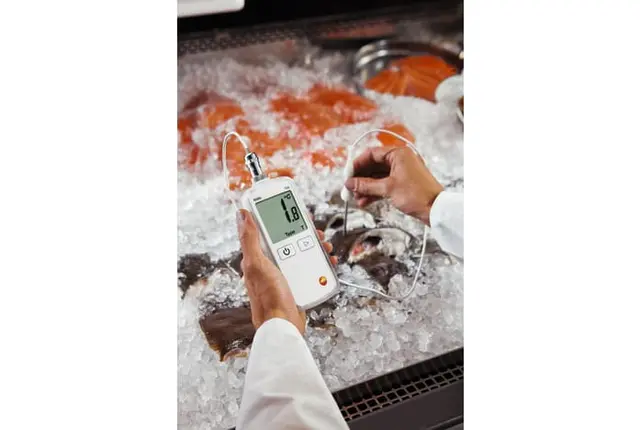 TESTO 108-2 TEMPERATURMÅLER, MED INNSTIKKFØLER 