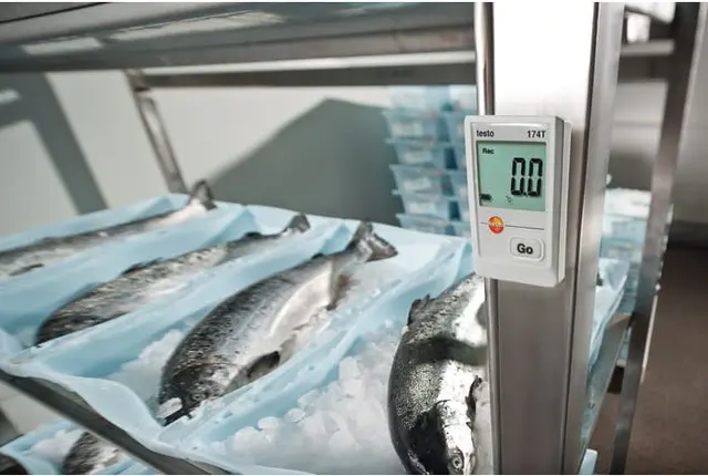 TESTO 174 T MINILOGGER 