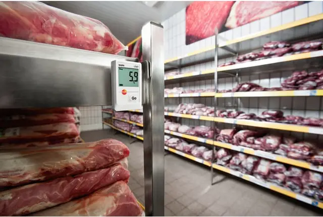 TESTO 174 T MINILOGGER 