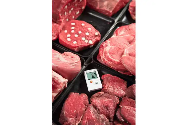 TESTO 174 T MINILOGGERSETT MED USB 