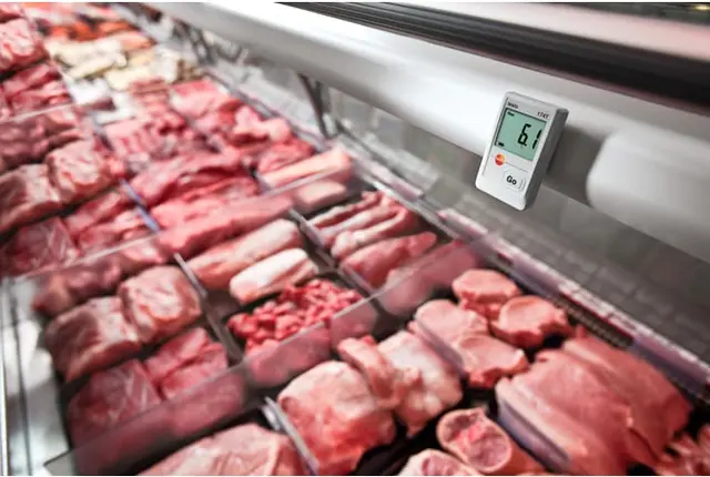 TESTO 174 T MINILOGGER 