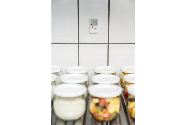 TESTO 174 T MINILOGGER 