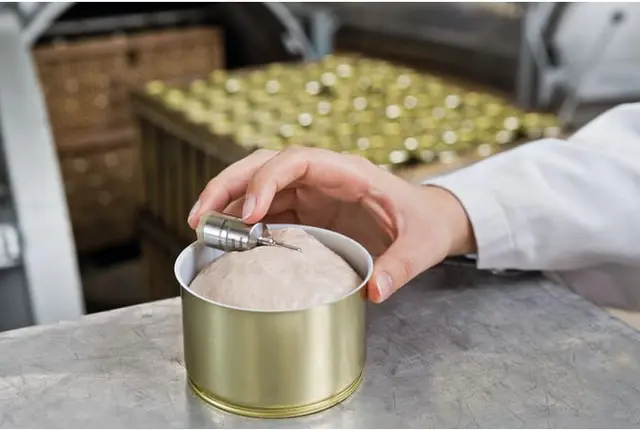 testo 191-T1–HACCP temperaturdatalogger med kort, stiv føler 25 mm 