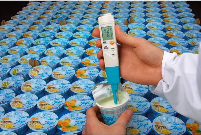 TESTO 206 pH 2 INSTRUMENT 