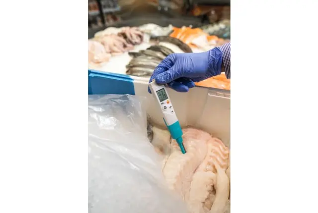 TESTO 206 pH 3 - INSTRUMENT 